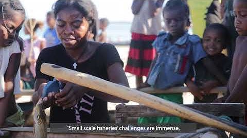 SSF Hub Social Media Short - ‘What Is SSF?’