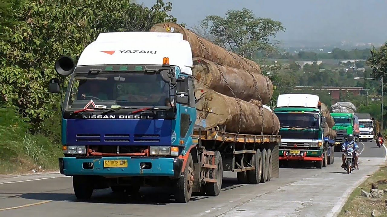 Konvoi Pengangkut  Kayu  Log Besar  Fuso Nissan Diesel 