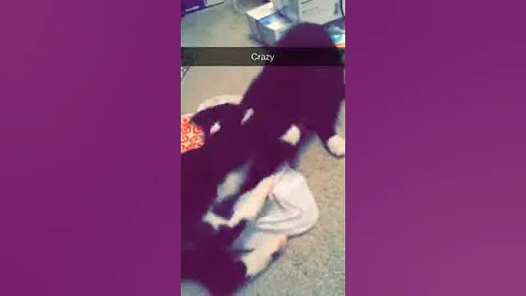 Crazy funny kitten