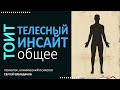 Телесный инсайт. Общая информация. Составные части практики.