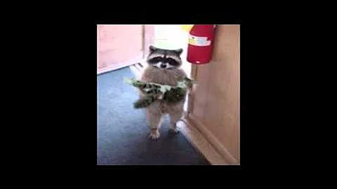 S.Mandelker PhD: The Law of One, Session 19 (1)