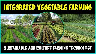Integrated Vegetable Farming System | Horticulture