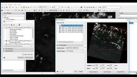 Open Landsat image for the first time and perform Radiometric calibration in ENVI