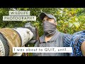 Turning FAILURE into SUCCESS | Wildlife Photography Blues + UPCOMING SERIES ANNOUNCEMENT