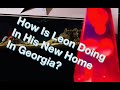 How Is Leon Doing In His New Home In Georgia?