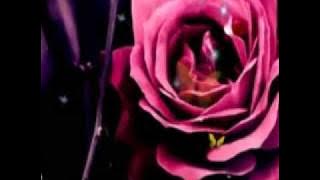 Sade kiss of life - color of love deluxe - she is the angel - always been