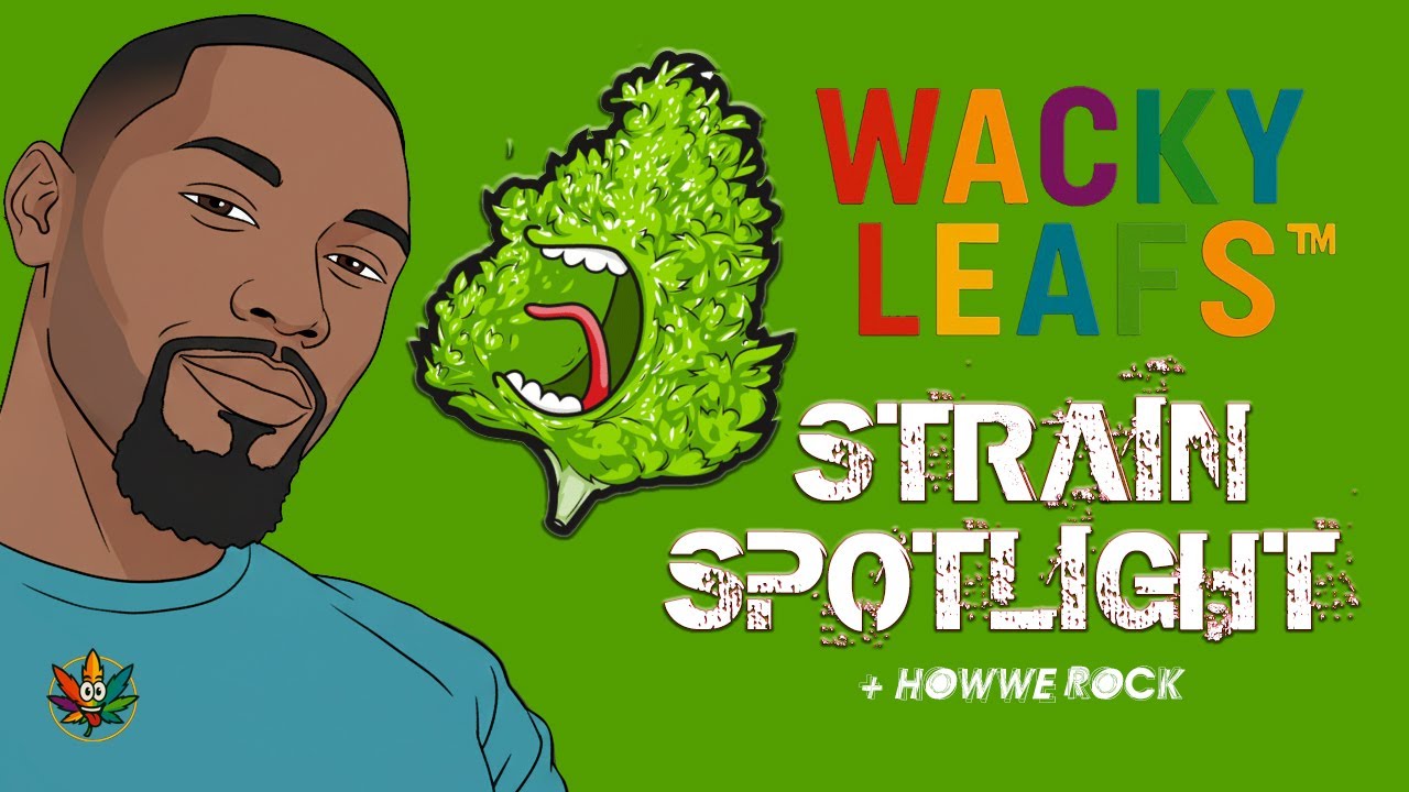 Strain Spotlight: Every Weed Type Explained And Ranked