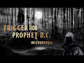 Trigger 808 instrumental  prophet dc