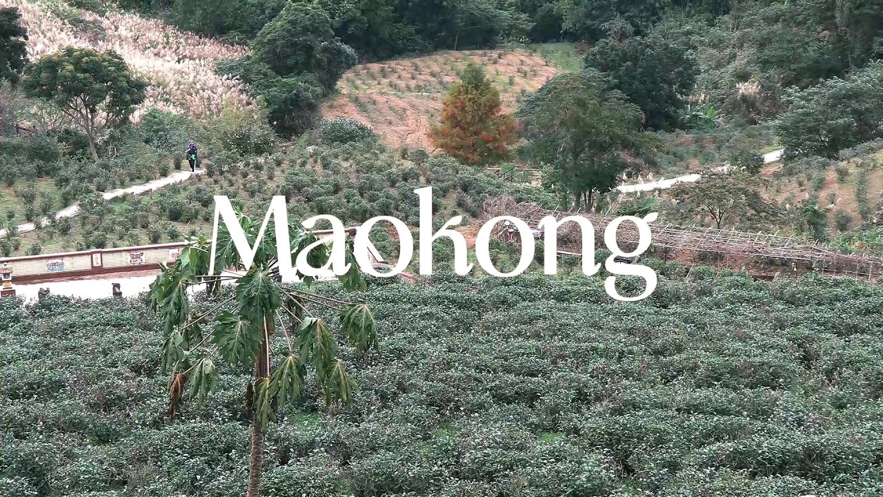 🇹🇼 Taiwan Vlog 2026 | A Quiet Day in Maokong / Hidden Mountain / First time Pudding / Solo travel .