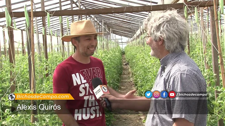 Alexis Quirs, tomates y verduras raras "Don pocho"