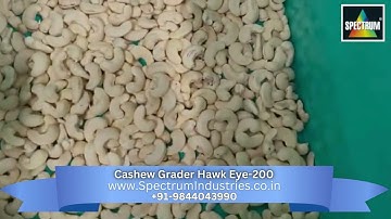 Cashew Grader Hawk Eye 200