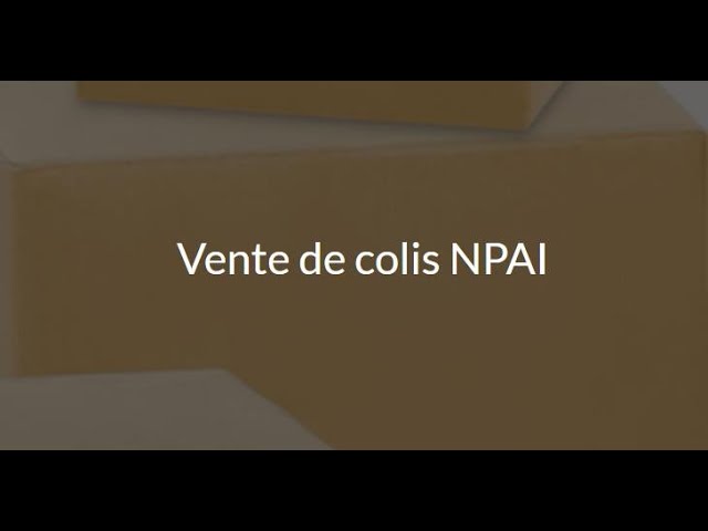 Lot de 30Kg de Colis Perdus (NPAI) - Colis Perdus