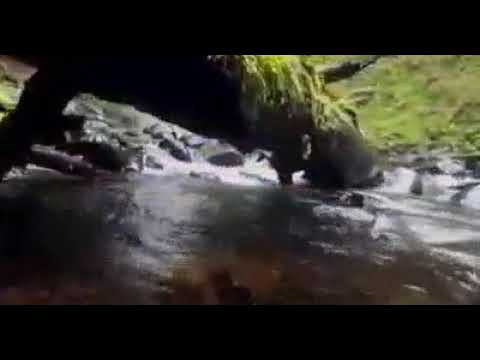 MWANADAMU YUMO NDANI YA HASARA