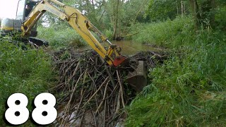 Beaver Dam Removal With Excavator No.88