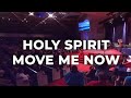 Vinesong - Holy Spirit Move Me Now - LIVE