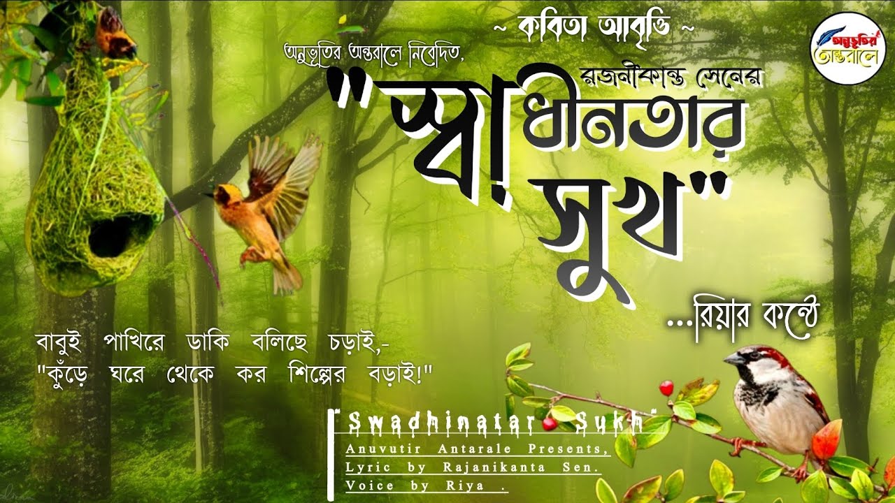 Porno Gerson ichkarida Ayollar hammomida porno tomosha qilish