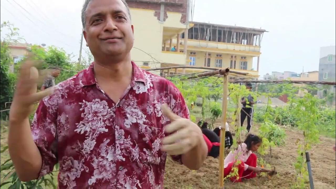 FEST Foundation Training YouTube