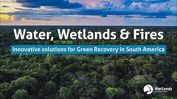 Water, Wetlands and Fires: Innovative solutions for Green Recovery in South America