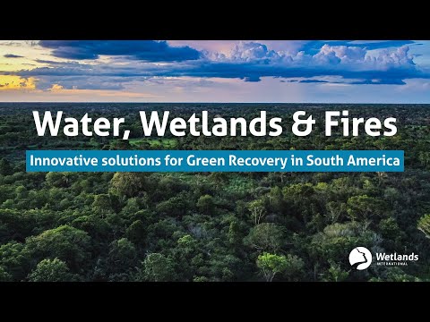 Water, Wetlands and Fires: Innovative solutions for Green Recovery in South America
