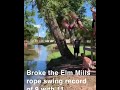 Elm Mills Rope Swing