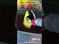 台所で発芽した去年のじゃがいもを植えました1　#カルビーポテトバッグ　イエロー(6)　#ぽろしり