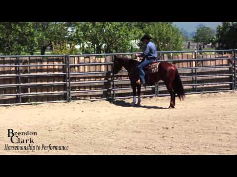Teaching a horse to sidepass