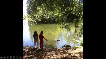 Upicha Video 2   Compositional Analysis