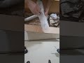 Fab28 exhaust for my 2021 Pan America Special 🇺🇸  part 1 of 2 