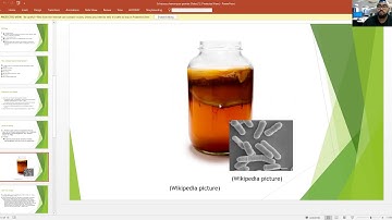 S. Pombe presentation