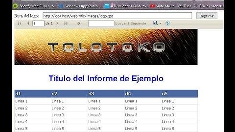 55 Informes RDLC en ASPNET