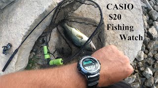 $20 Casio Fishing Watch does it work? Casio WSC-1250H Field test.