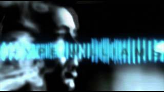 Hype Williams - Dragon Stouthomegrown