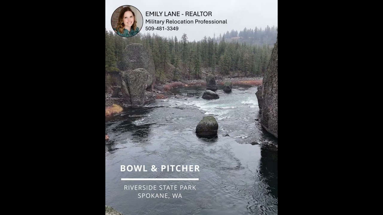 Bowl & Pitcher 