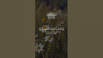 سورة الفاتحة | الشيخ محمد صديق المنشاوي