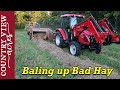 Removing the Bad Hay From the Hay Field