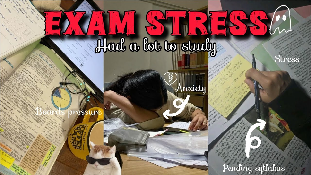 EXAM KA STRESS 🤧💔 || ANXIETY 😭😩 ||LIMITED TIME ..... Study vlog📖✨