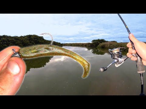 Fishing Secret Creek Full Of Big Fish!!
