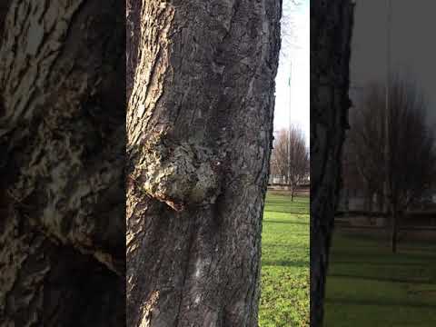 mytime4me : 1minute of calm camera iphone 8 plus apk