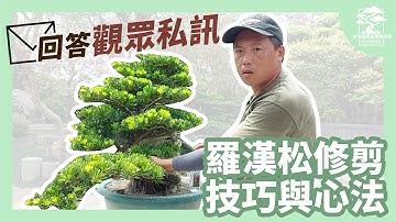 超多觀眾私訊詢問！如何修剪羅漢松？小技巧讓你輕鬆搞定｜台灣銘園庭園美術館