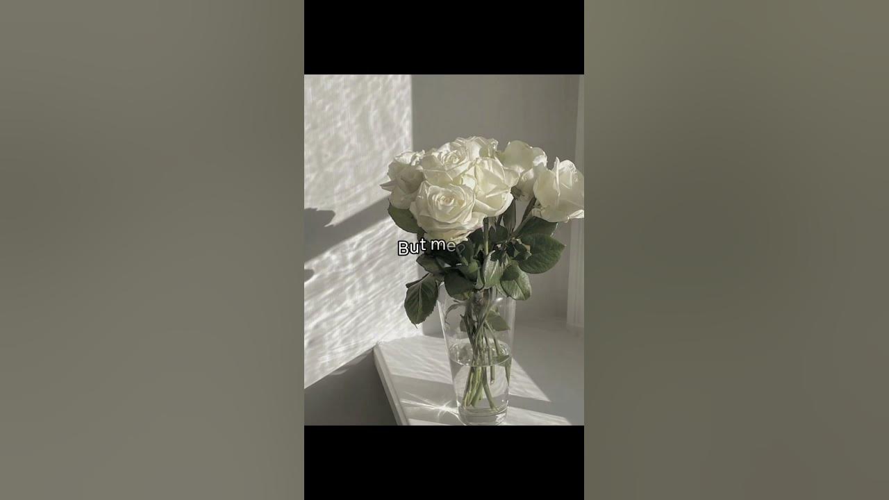 White Roses... 🤍🤍 #whiterose #love #aesthetic #beautiful #shorts #yukio #sweetie