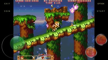 [ARCADE GAMES][THREE WONDERS] STAGE #1