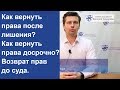 Как вернуть права после лишения? Как вернуть права досрочно? Возврат прав до суда.