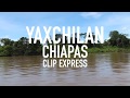 Yaxchiln  chiapas mxico  luis espero