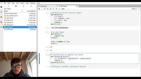 [Python pour les maths] Tutoriel : 7- définir des fonctions, avec "def" ou avec "lambda"