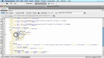 5 Quick Tips for HTML Forms