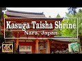 Le sanctuaire kasuga taisha  nara au japon une promenade dans la rgion