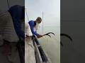 Amazing Fishing Technique by hook #hookfishing #fishinglife