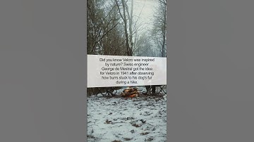 The Origins of Velcro: A Surprising Invention Story