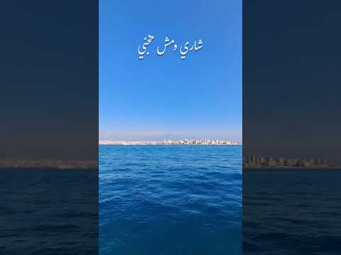 حد ينسى قلبو حد ينسى عمرو جورج وسوف اكسبلور النسويه