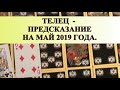 ТЕЛЬЦЫ. МАЙ. ПРЕДСКАЗАНИЕ общее.